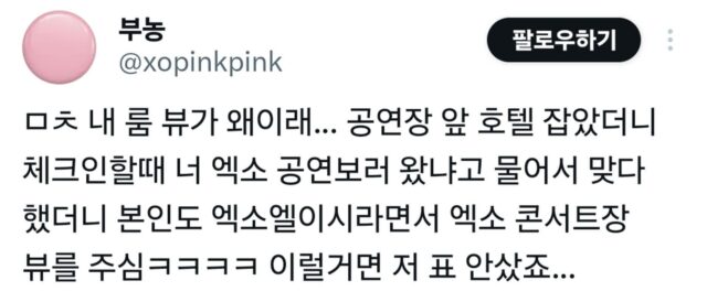 호텔에서 명당뷰 받았다는 엑소팬