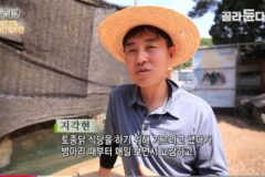 토종닭 장사 하려고 닭 2천마리 키우다가 결국 정들었음 (닭 주의)