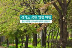 경기도 공원 양평 여행 물안개 공원 성지순례 천주교양근성지