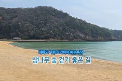 여름 일본여행지 추천 대마도 여행 모기하마 해수욕장 & 삼나무 숲 걷기 좋은 길
