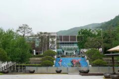 충북가볼만한곳 2026년 4월, 봄 여행 추천 명소 BEST 5