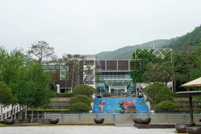 충북가볼만한곳 2026년 4월, 봄 여행 추천 명소 BEST 5