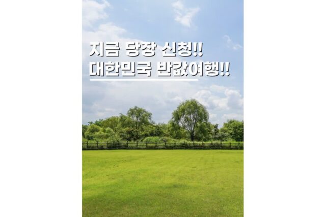 대한민국 반값여행 소도시 자연휴양림 총정리 지금 안 보면 끝