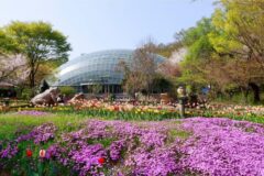 “ 17만㎡ 규모 산림청 인정 수목원” 5월 성남 가볼 만한 곳 추천
