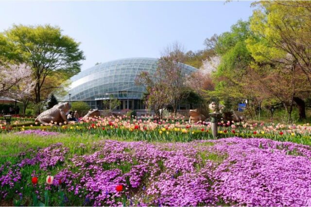 “ 17만㎡ 규모 산림청 인정 수목원” 5월 성남 가볼 만한 곳 추천