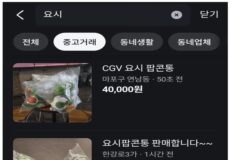 CGV 요시 팝콘통 되팔렘들 참교육 근황