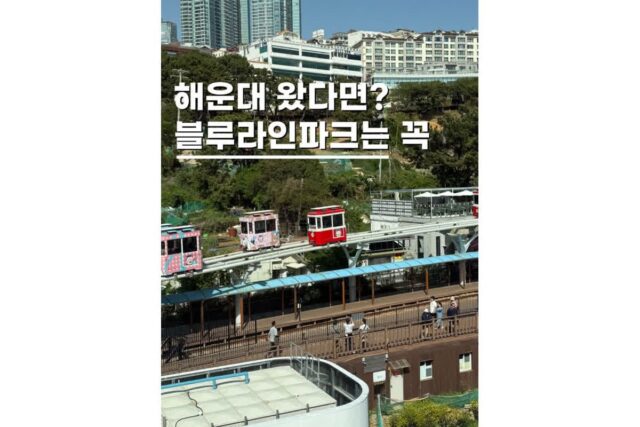 부산 블루라인파크 해운대 놀거리 스카이캡슐 예약 가격 꿀팁