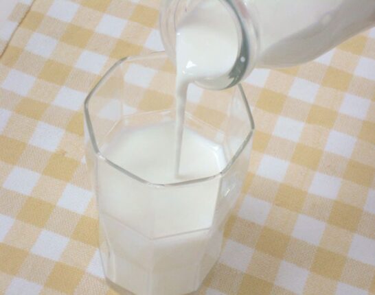 “우유 대신 하루 한 컵 마시세요” 골다공증 막고 근육량 폭발시키는 1위 음료