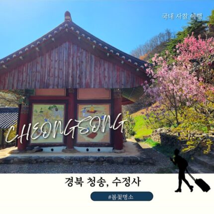 경북 가볼만한 곳 청송 수정사 봄꽃 구경 조용한 사찰 여행 추천