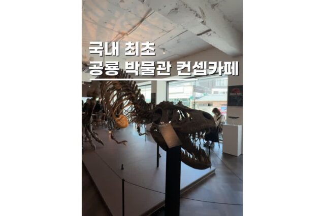 행궁동놀거리 데이트로 남친 데려가기 좋은 렉스프레소 뮤지엄