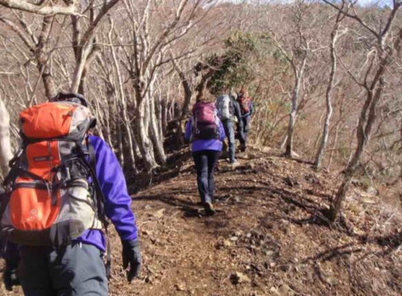 “등산보다 3배 좋다..” 60대에 빠진 근육을 꽉 채워준다는 ‘기적의 운동’