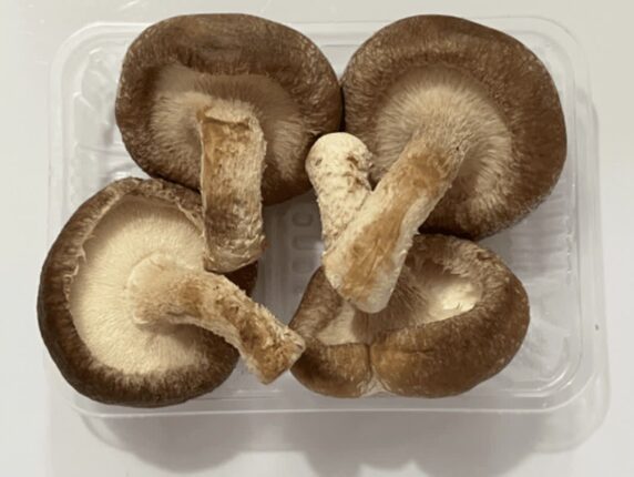 마트가서 “이런 버섯”은 사지 마세요 마트 직원이 폭로한 썩은 버섯입니다.
