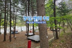 경기도 캠핑장 추천 국립 유명산 자연휴양림 캠핑