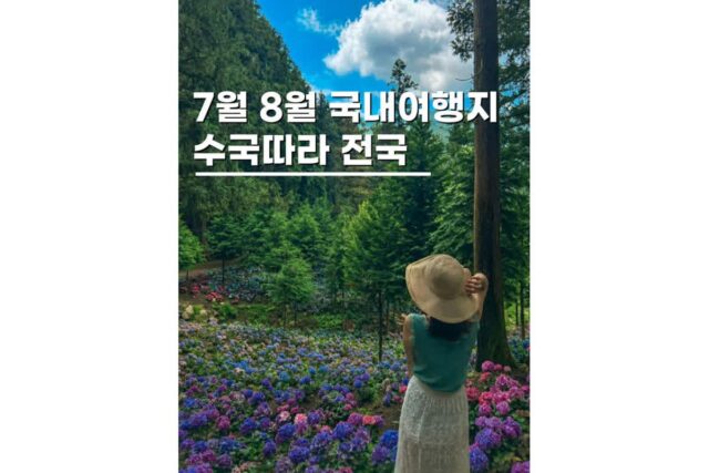 6월 7월 국내여행지 추천 지금 아니면 못보는 수국축제