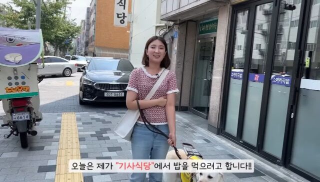 안내견이 식당에 들어오자 일부러 큰 목소리로 얘기하시는 사장님.jpg