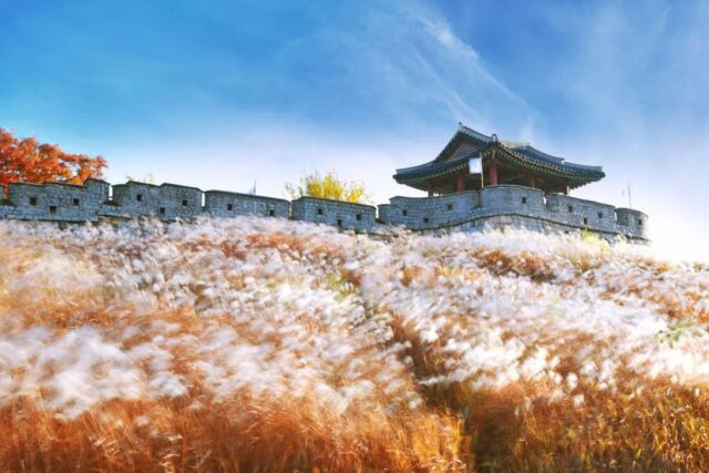 수원놀거리, 2026년 5월 최신 여행 가이드 추천 6곳