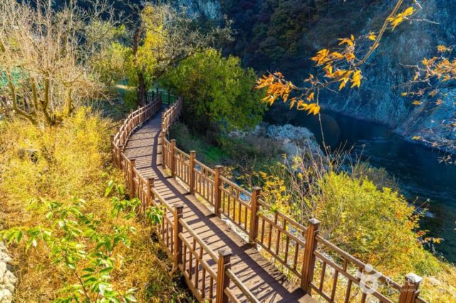 월류봉 둘레길 트레킹 코스 추천! 충북 영동 가볼 만한 곳 1순위