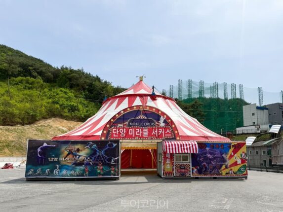자연경관에 즐길 거리 더했다…단양, 서커스·생태체험 품은 체험 여행지로