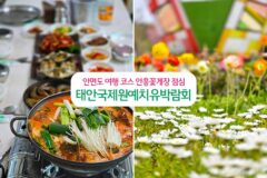 안면도 여행 코스 | 안흥꽃게장 점심 태안국제원예치유박람회