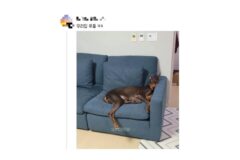 편견없는 대한민국 모음