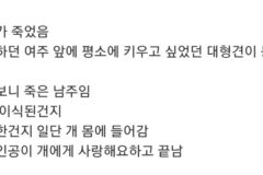 어제 끝난 임성한 드라마 결말