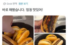 일본에서 유행하는 치즈버거 100배 맛있게 먹는 방법.x