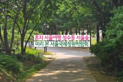 혼자 서울 여행 성수동 서울숲 미리 본 서울 국제정원박람회