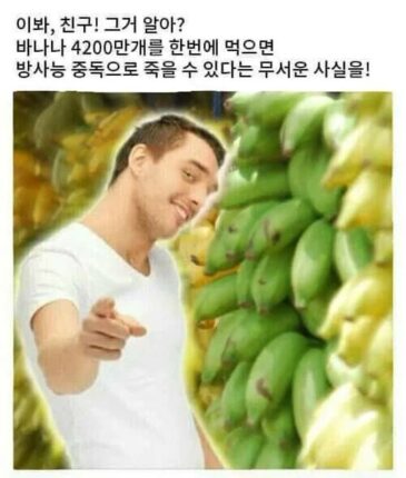 바나나로 사람을 죽이는 방법