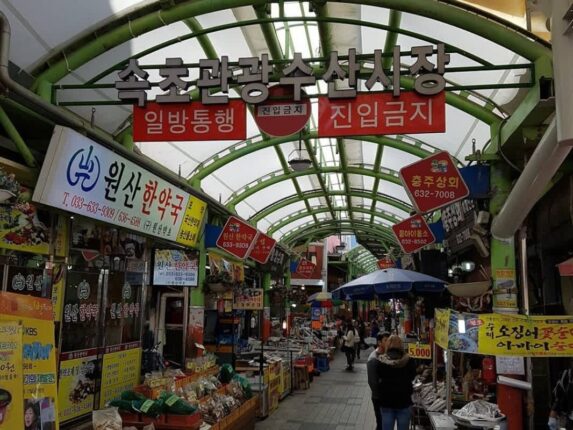 시장가면 “이 열매” 보일 때마다 쟁여두세요 혈압 뚝 떨어뜨려 혈관 청소부라 불리는 과일