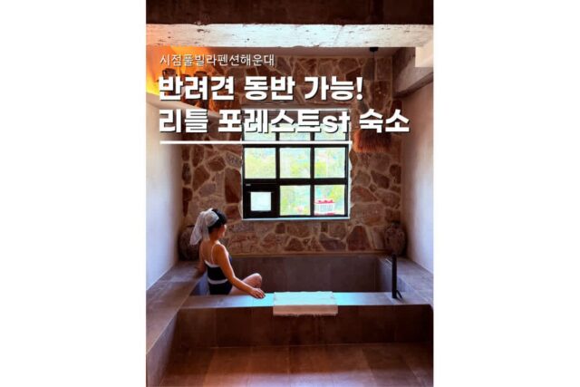 부산애견동반펜션 감성숙소 시점풀빌라 703호 숙박기