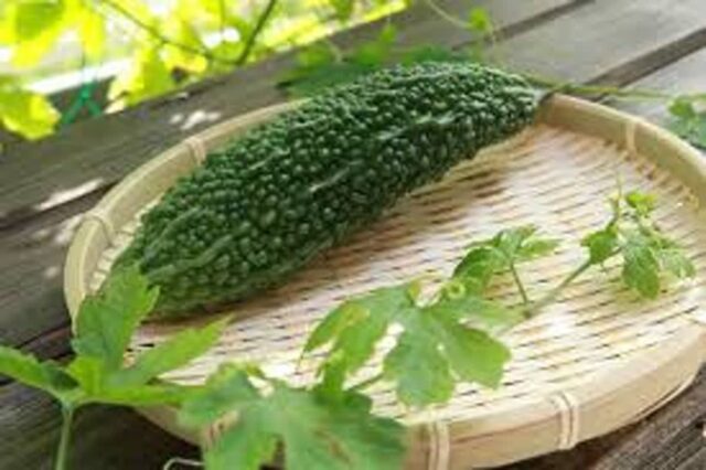 “마트에서 제일 싼 건데..” 당뇨 환자들이 땅을 치고 후회한 안 먹던 이 채소