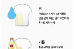 의류 얼룩별 제거 방법