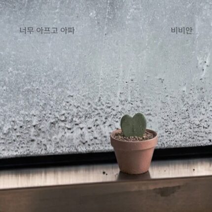 비비안, 신곡 ‘너무 아프고 아파’ 발매… 짙은 이별 감성 담았다