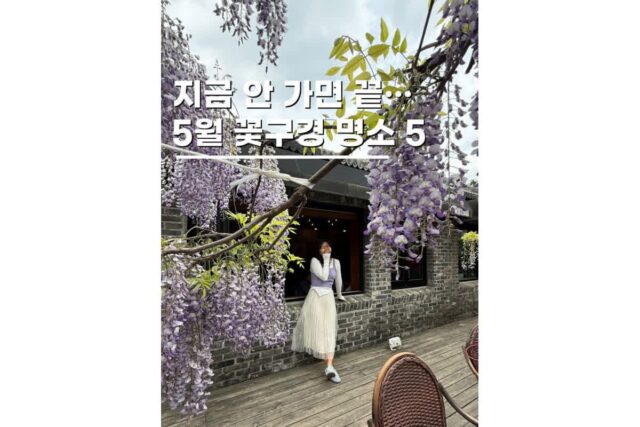 5월 꽃구경 국내여행지 추천 주말나들이 가볼만한곳 5