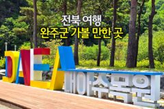 전북 여행 완주군 가볼 만한 곳 완주 대아수목원