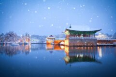 경주동궁과월지 야경 코스 추천 2026, 주변 명소와 주차 팁 완벽 가이드