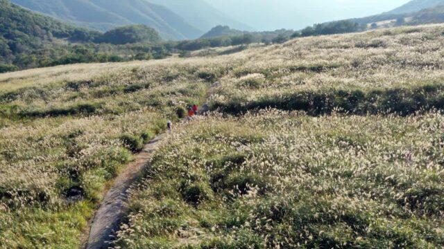 “해발1,189m 하늘을 뚫는 경상남도 알프스” 여름피서로 딱인 밀양 가볼 만한 곳 추천
