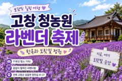 “2만여평에 펼쳐진 라벤더 수국 천국” 한옥 여름꽃 산책 고창 여행지