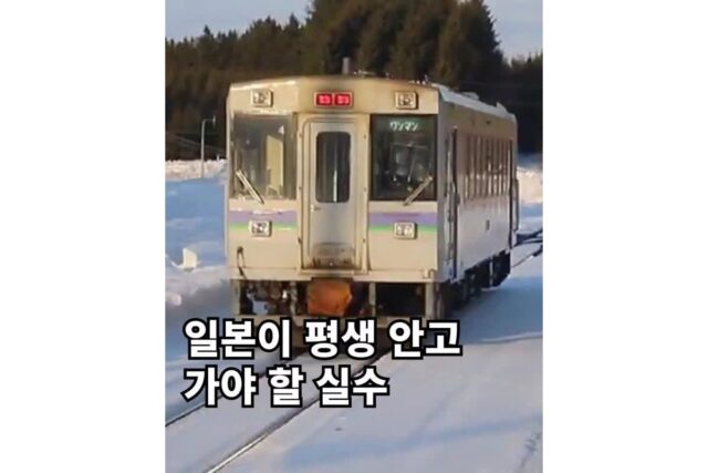 일본이 평생 안고 가야 할 실수