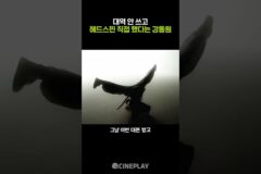 강동원이 헤드스핀 직접 춘 이유 #와일드씽 #gangdongwon