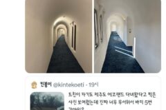 안개 낀 날의 제주도 에코랜드.twt