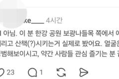 AI 아님.. 서울 지하철 빡세다