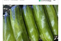 나 마트에서 야채포장하는 알바하는데 포장 ㄹㅇ 잘함