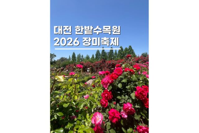 대전한밭수목원 장미축제 기간 실시간 개화 피크닉후기