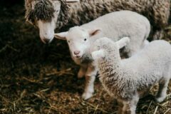 8월 여름휴가 국내 여행지 추천, 시원한 피서지 찾고 있다면 여기부터 확인