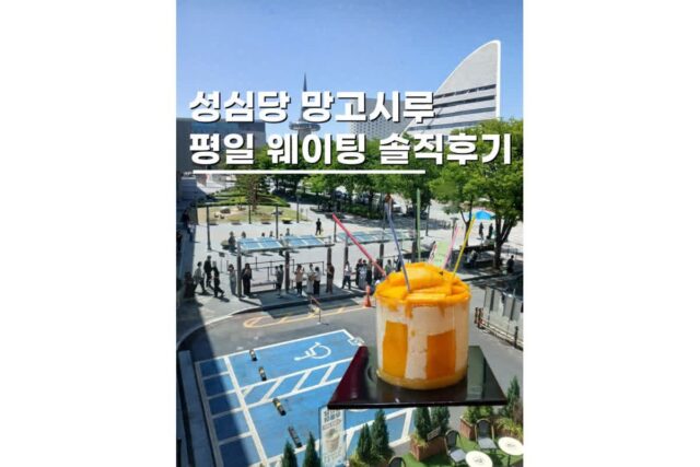 성심당 망고시루 웨이팅 평일 후기