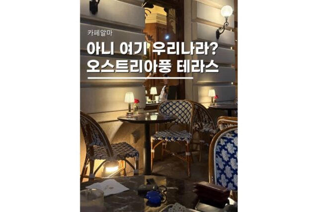 부산데이트장소 실패 없는 반려견 동반 테라스 카페알마