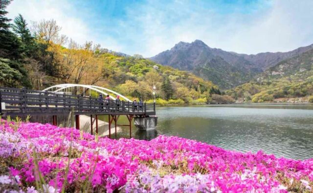 “케이블카 타고 절경 보고, 낙동강 노을까지”…구미 가볼 만한 곳 5