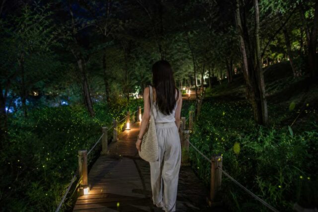 “수도권 한복판에서 반딧불 투어가?” 제 16회 맞이하는 경기도 밤축제 추천