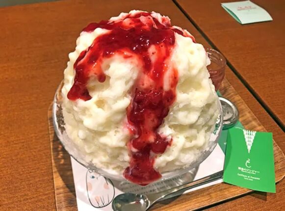 “기계 필요 없습니다” 전문점 못지 않은 빙수 만드는 ‘주부9단 특급 레시피’